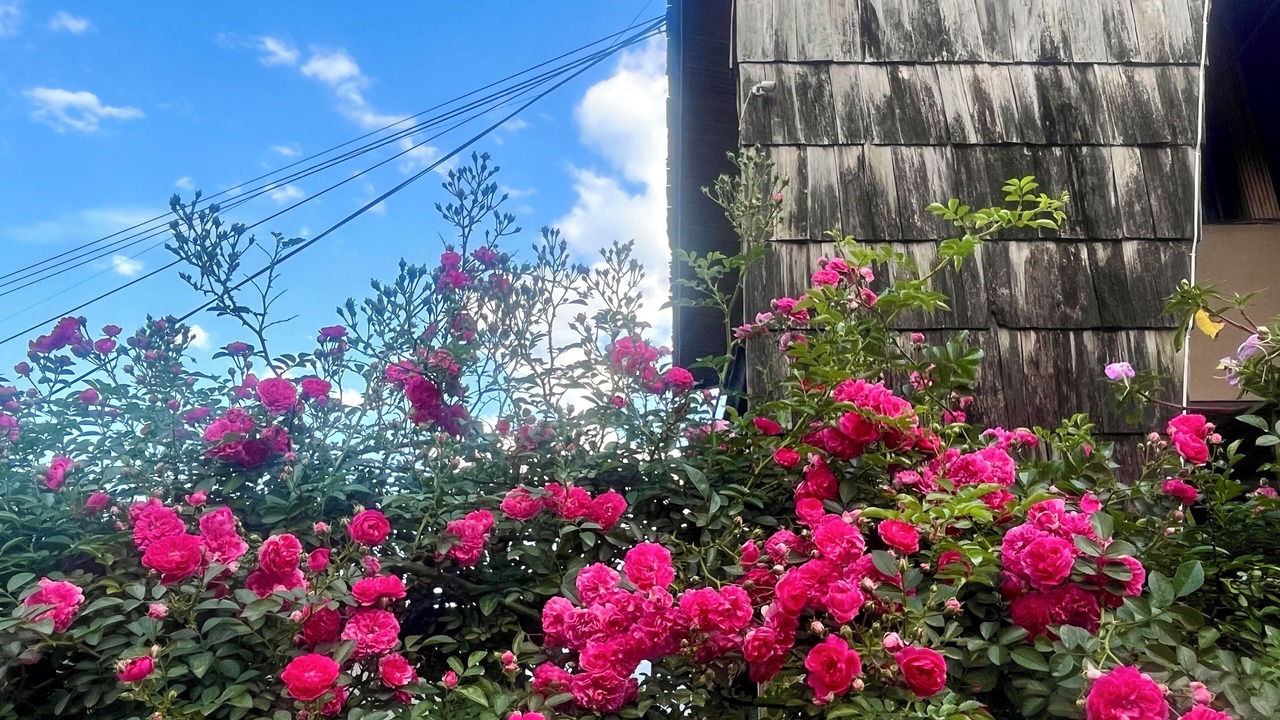 Photo of Outdoor in Sa Pa