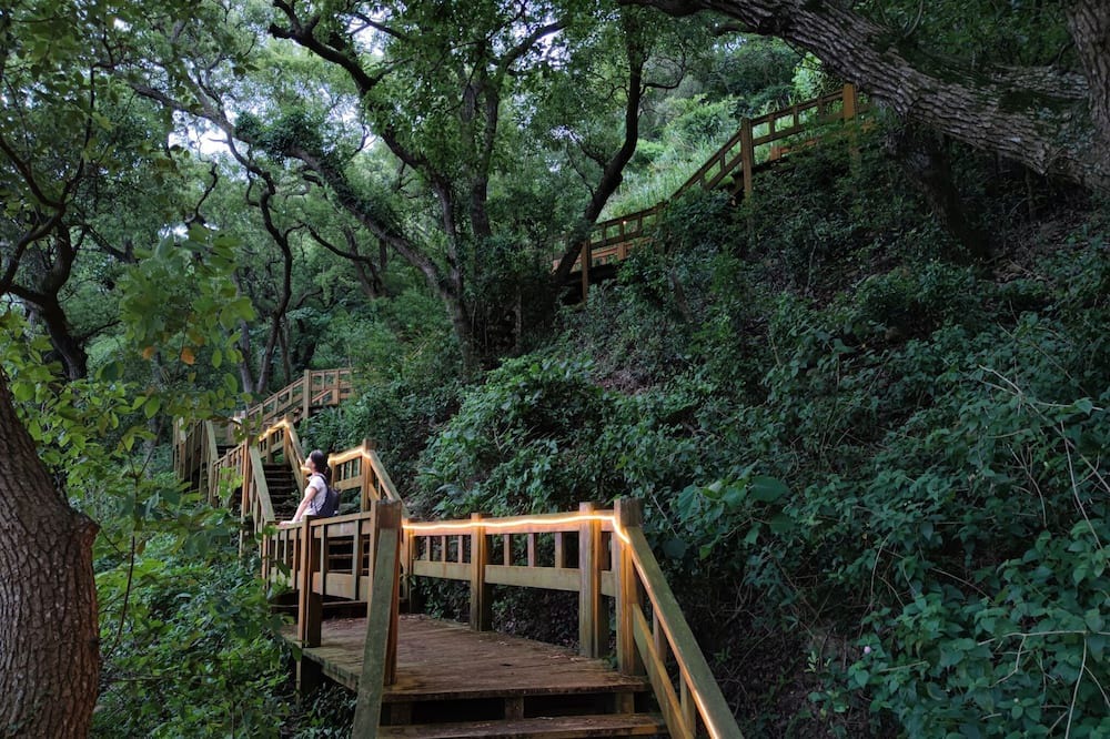 Photo of Outdoor in Waipu District