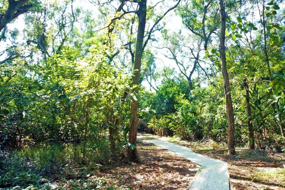 Photo of Outdoor in Waipu District