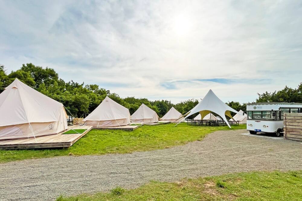 Photo of Outdoor in Waipu District