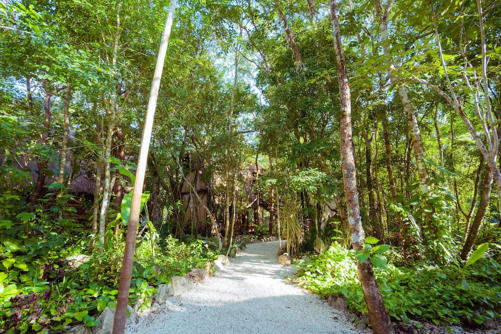 Photo of Outdoor in Leona Vicario