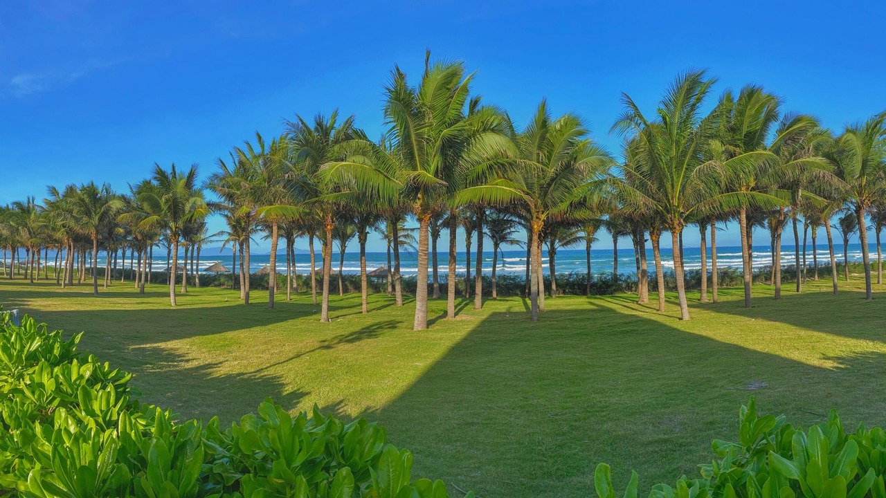 Photo of Outdoor in Cam Lam