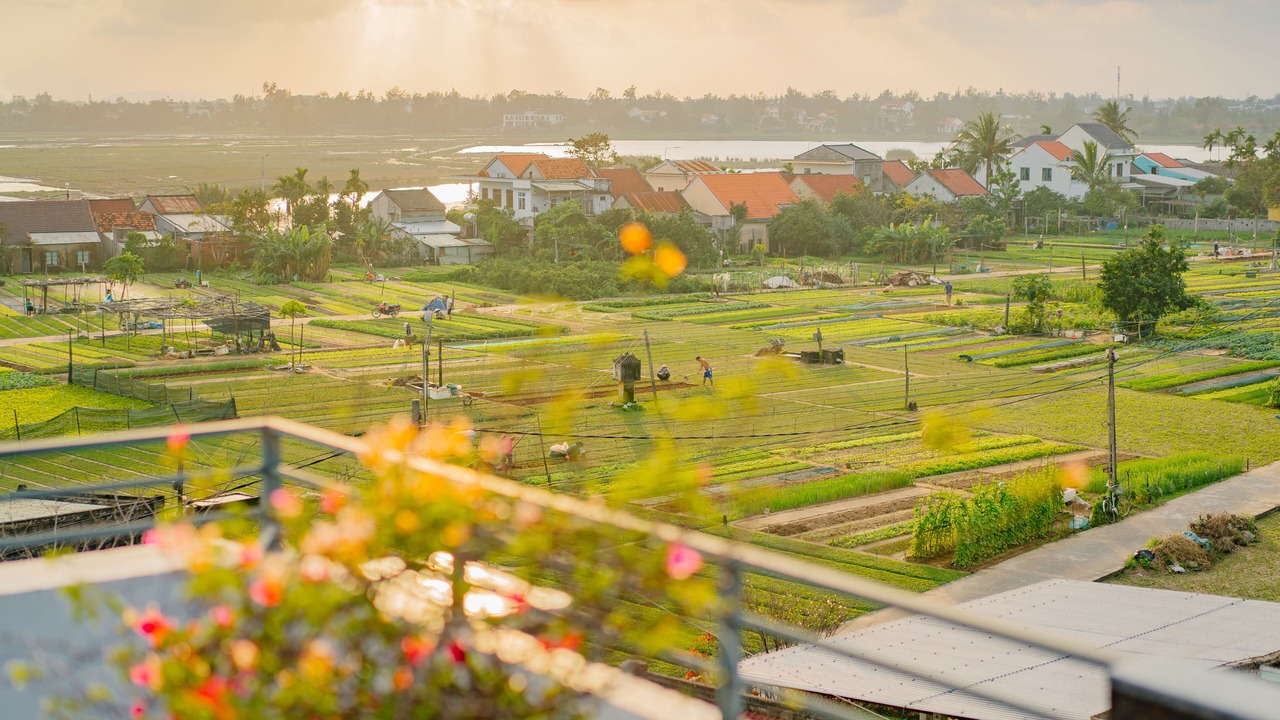 Photo of Outdoor in Tra Que Vegetable Village
