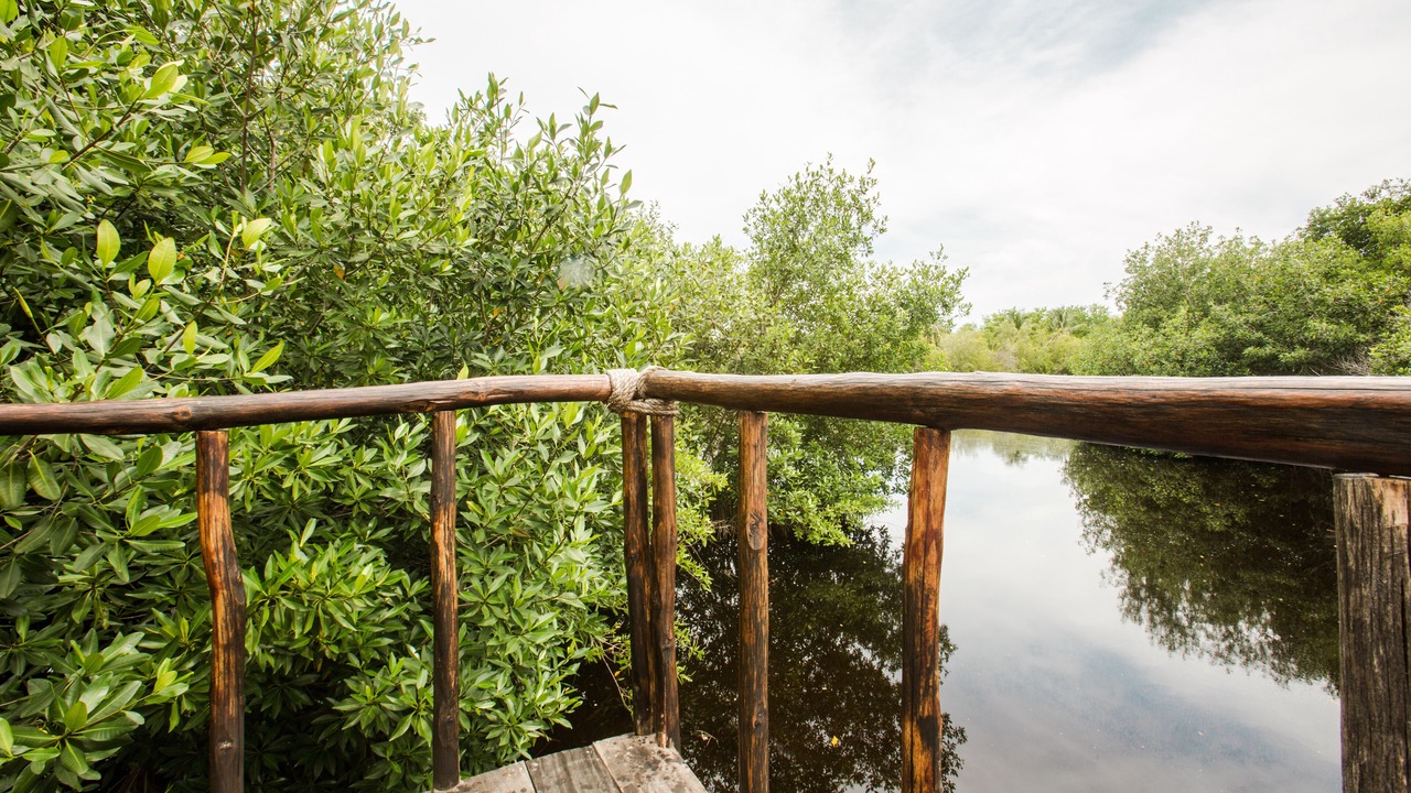Photo of Outdoor in Tonala