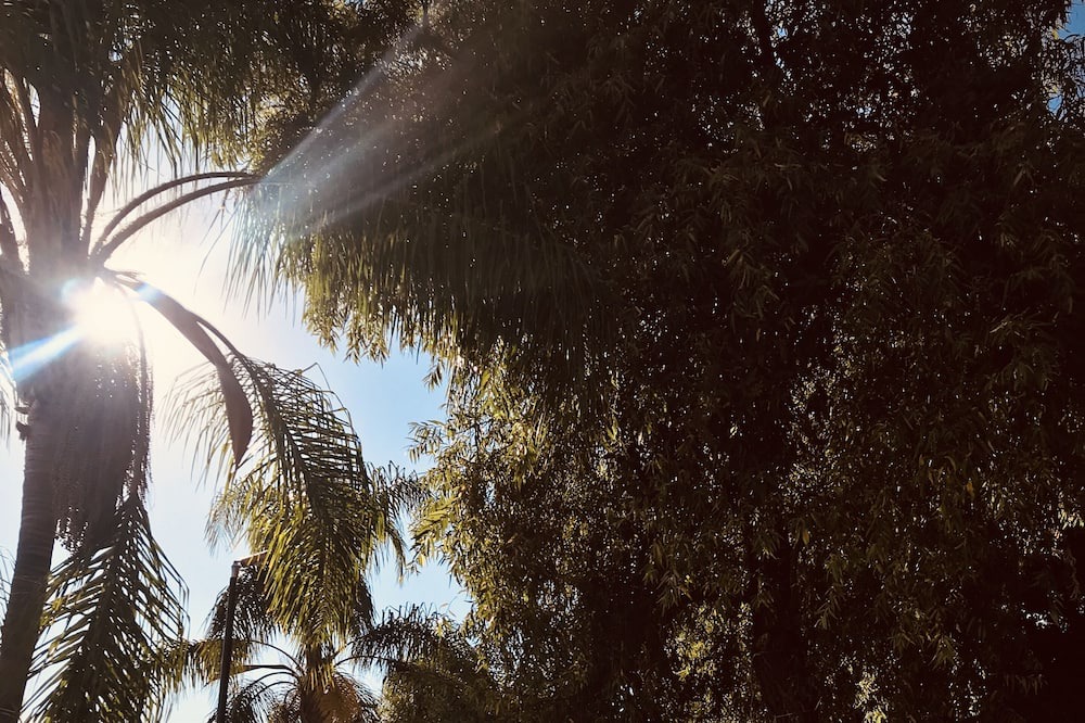 Photo of Outdoor in Chapala Haciendas