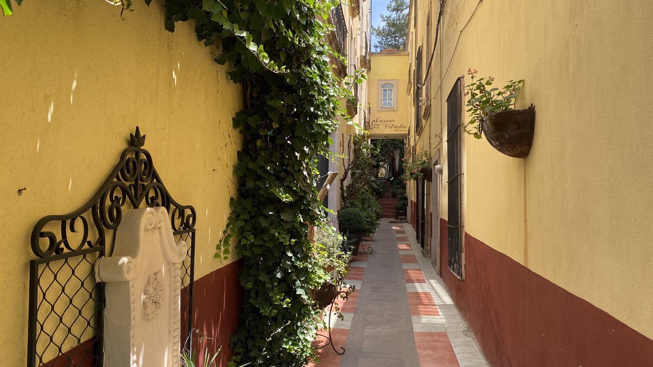 Photo of Outdoor in Zacatecas Centro