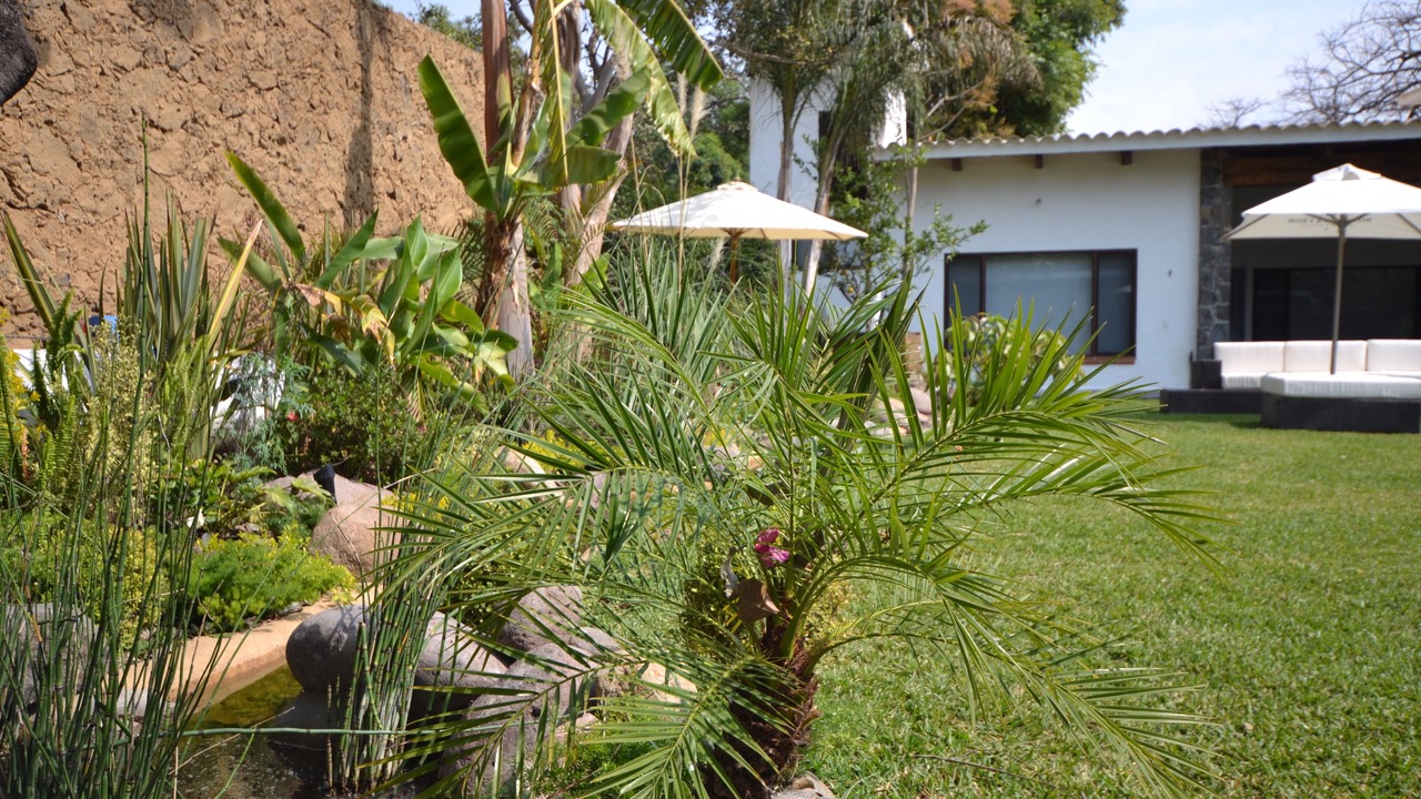 Photo of Outdoor in Tepoztlan