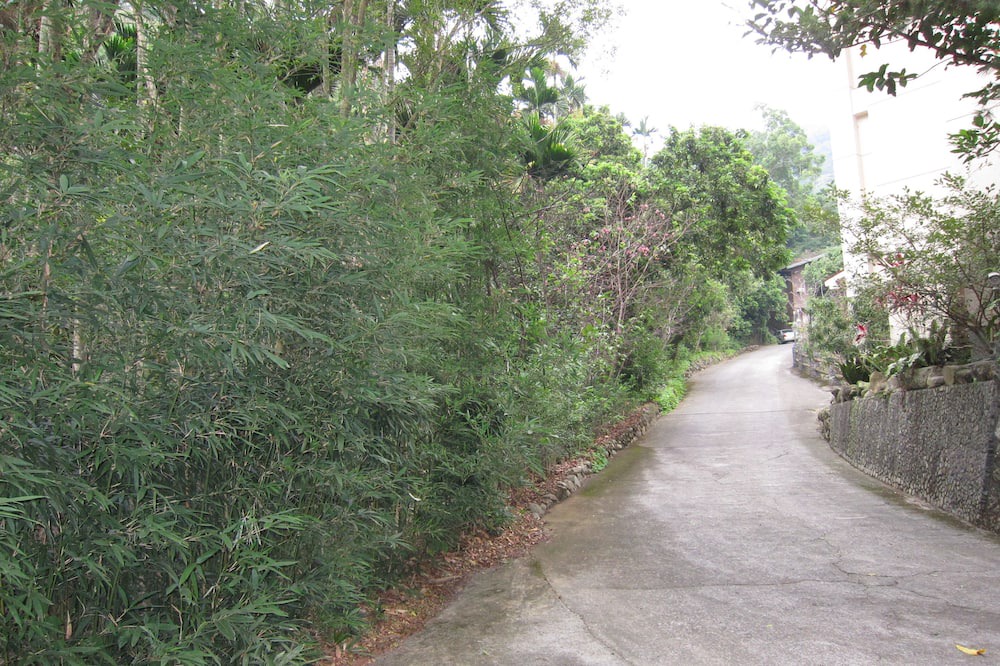 Photo of Outdoor in Shuili