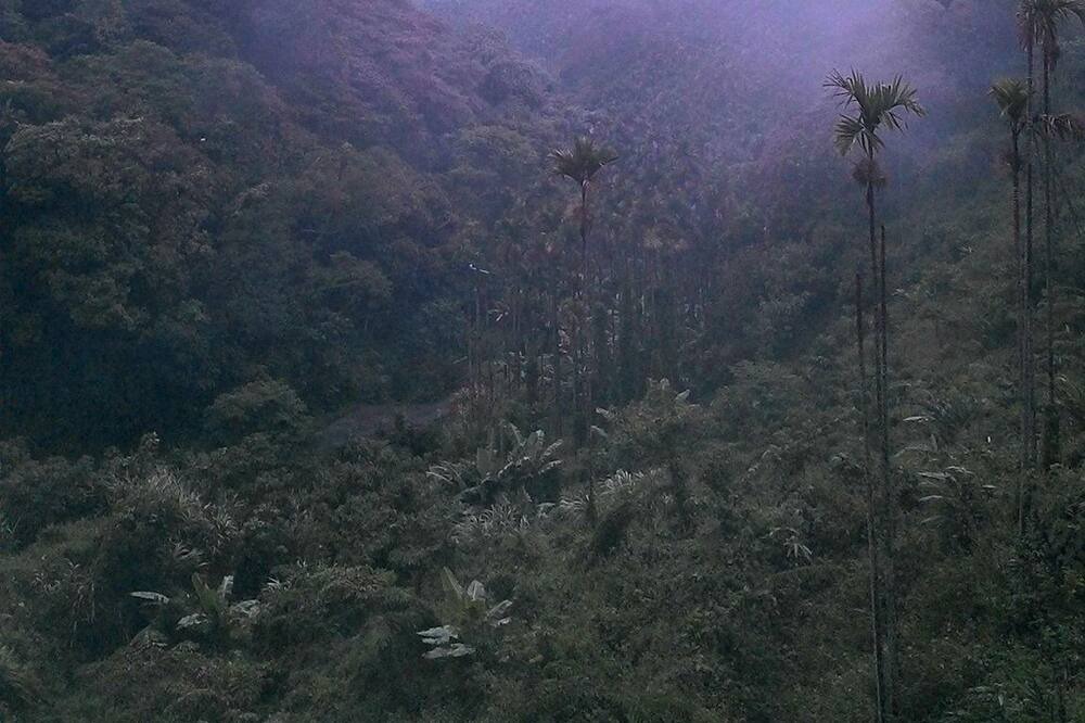 Photo of Outdoor in Shuili