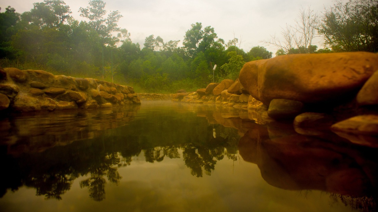 Photo of Others in Phong Dien