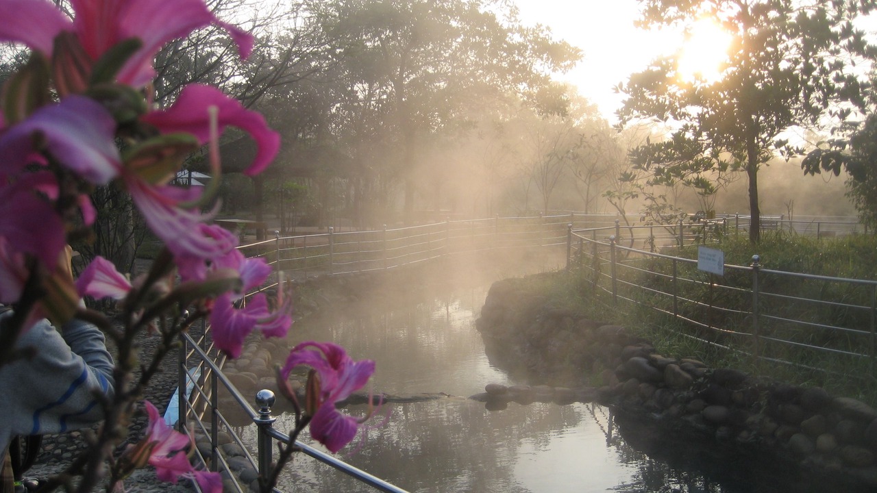 Photo of Others in Phong Dien