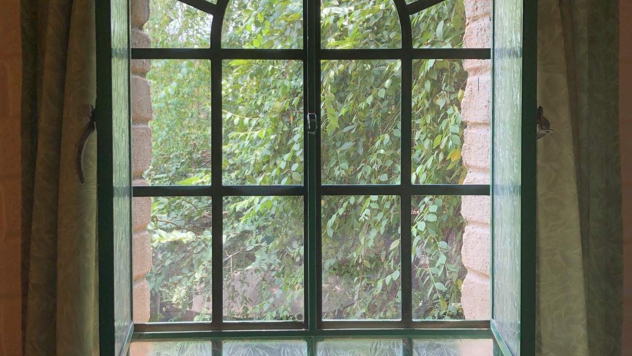 Photo of Outdoor in Guadalajara