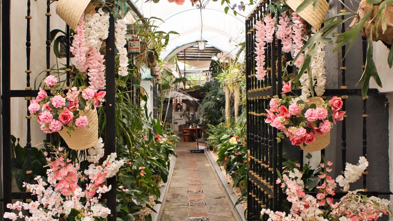 Photo of Patio Balcony in Central Cuernavaca