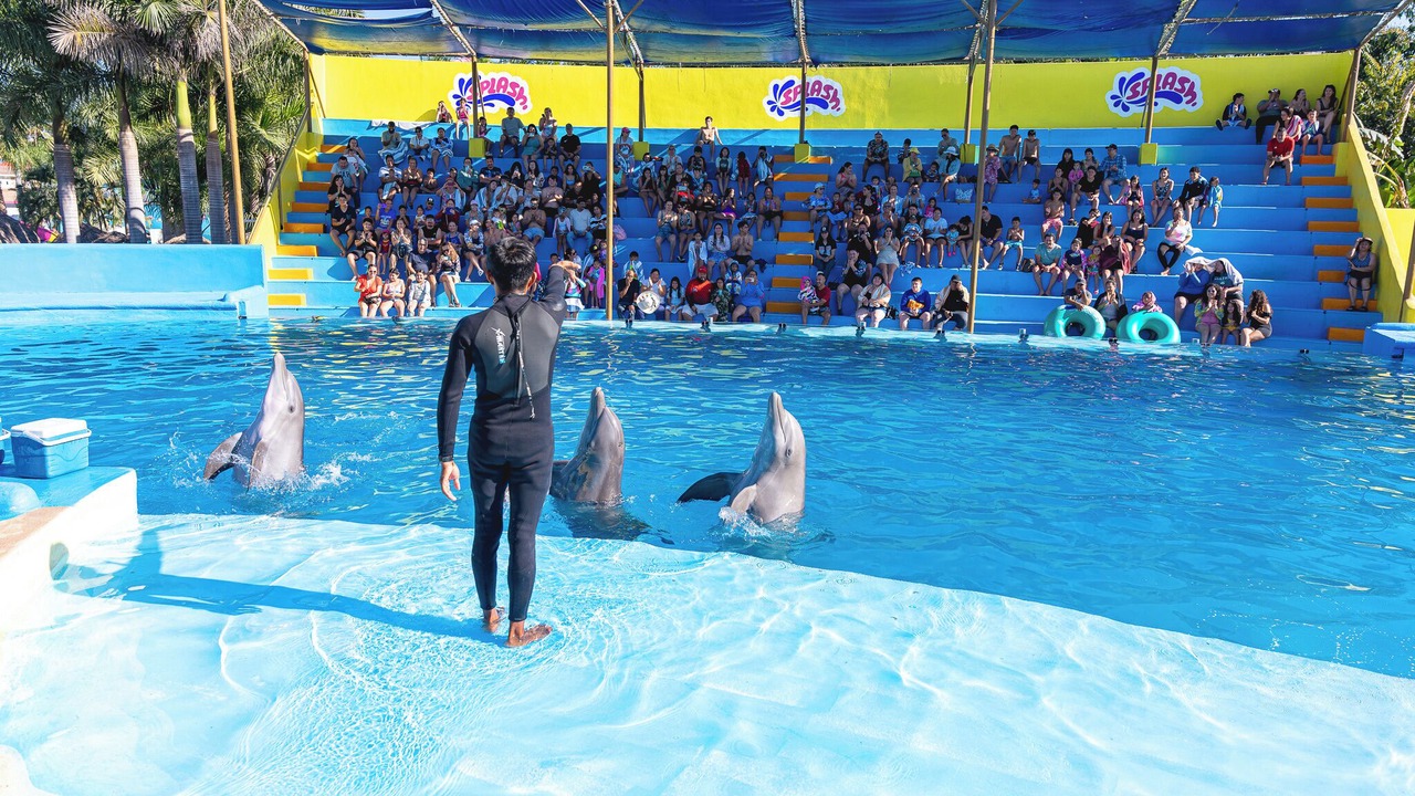 Photo of Outdoor in Las Jarretaderas