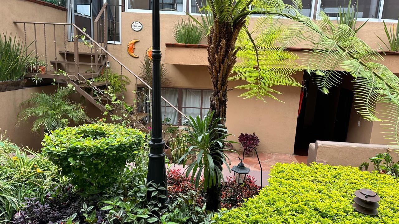 Photo of Outdoor in Centro