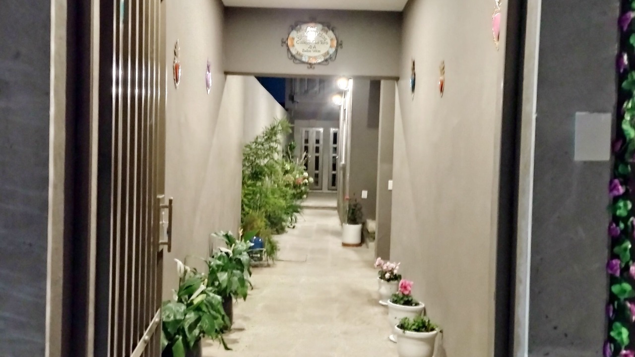 Photo of Outdoor in Allende