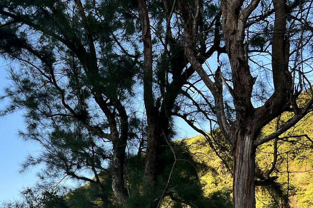 Photo of Outdoor in Shoufeng