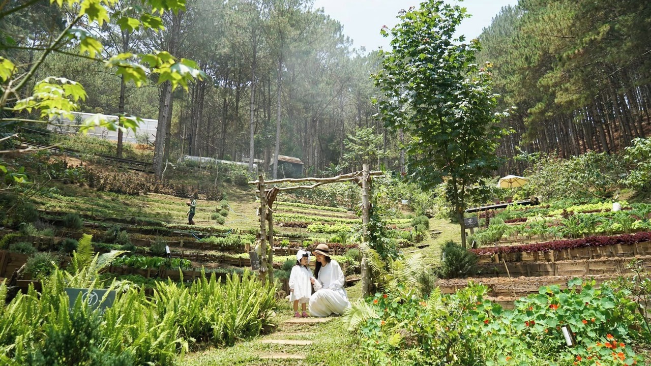 Photo of Others in Da Lat