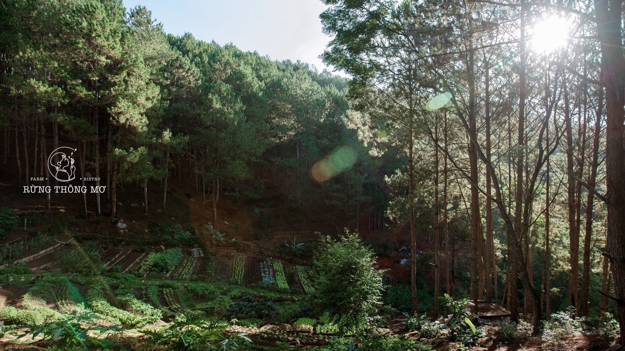 Photo of Others in Da Lat