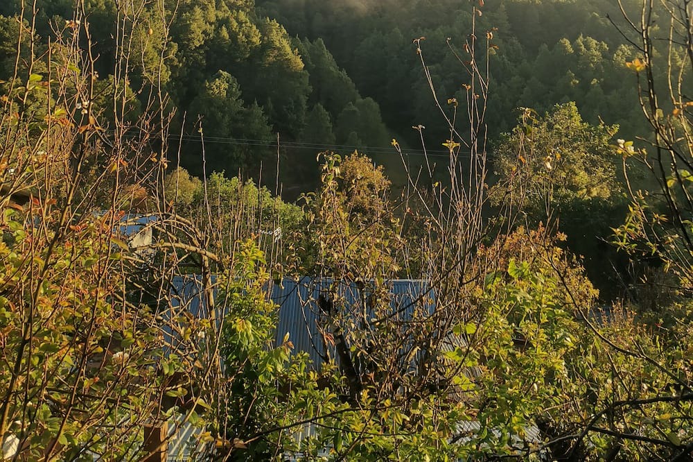 Photo of Outdoor in San Sebastian Rio Hondo