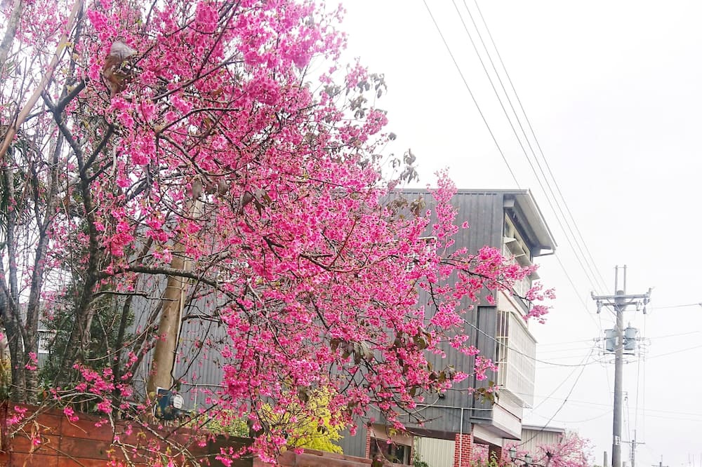 Photo of Outdoor in Xinshe