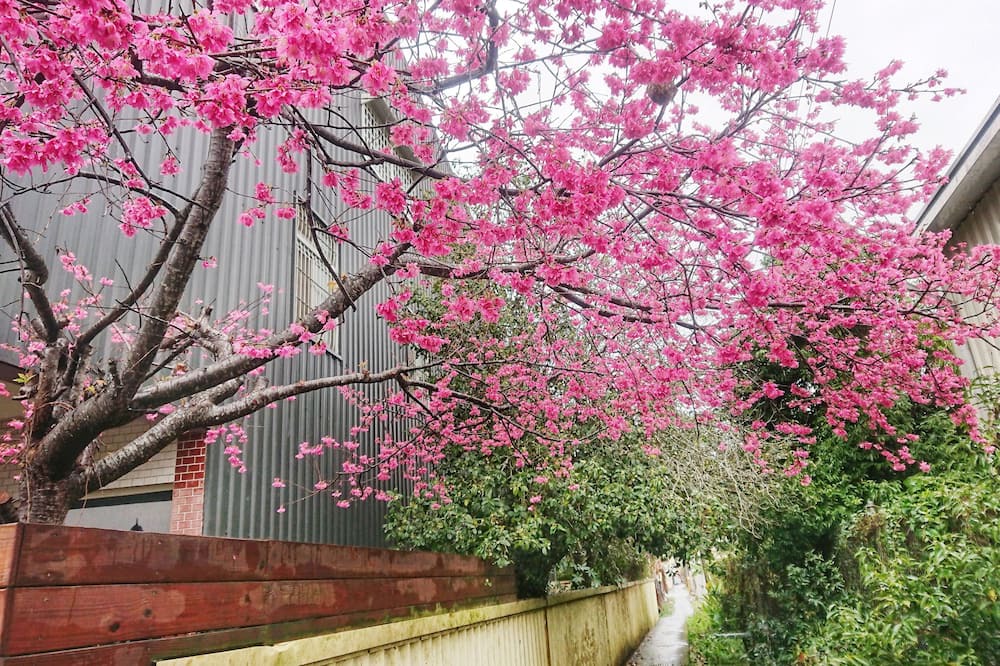 Photo of Outdoor in Xinshe