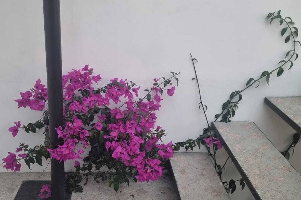 Photo of Outdoor in Ixtapan de la Sal
