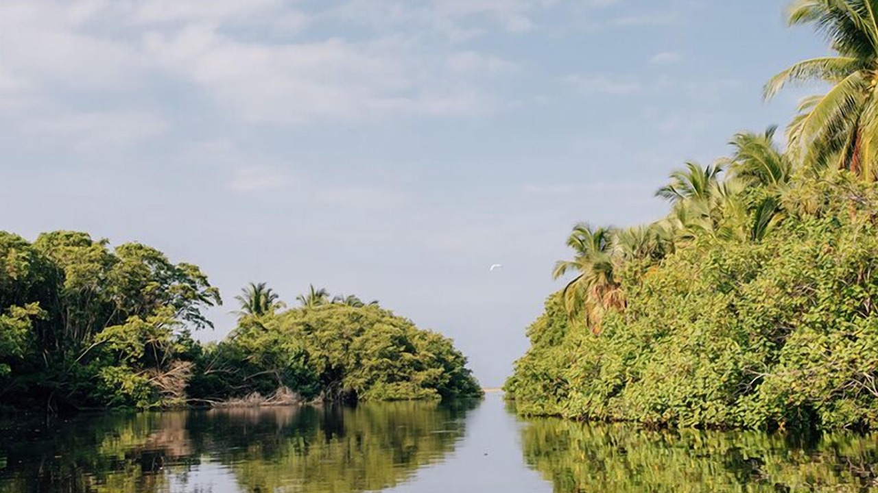 Photo of Outdoor in San Agustinillo