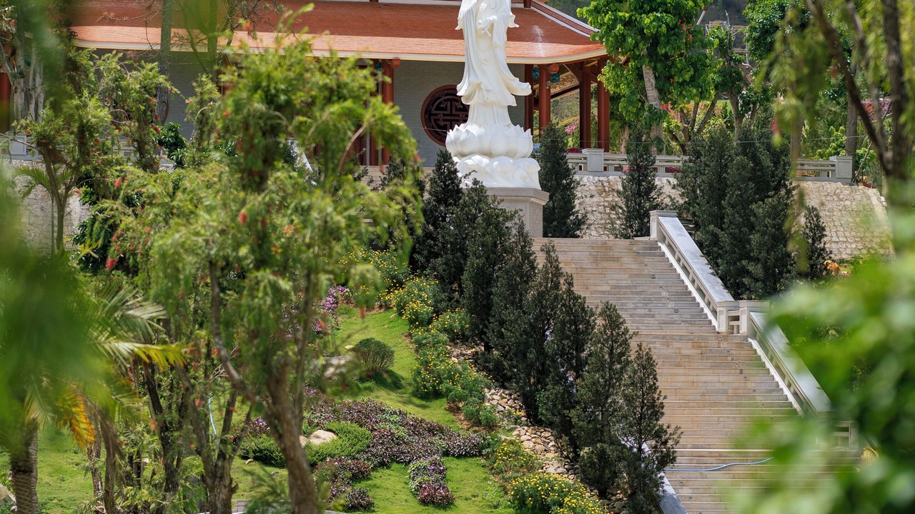 Photo of Outdoor in Duc Trong