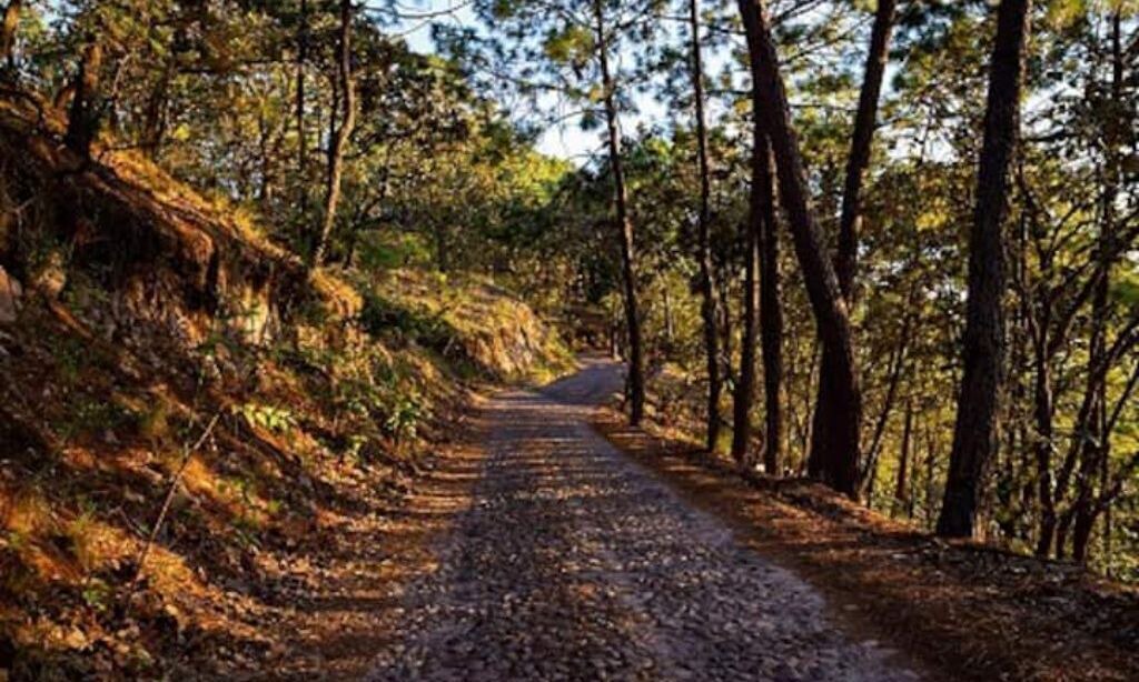 Photo of Outdoor in El Salto