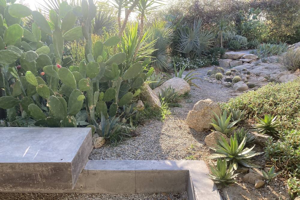 Photo of Outdoor in San Jose del Cabo