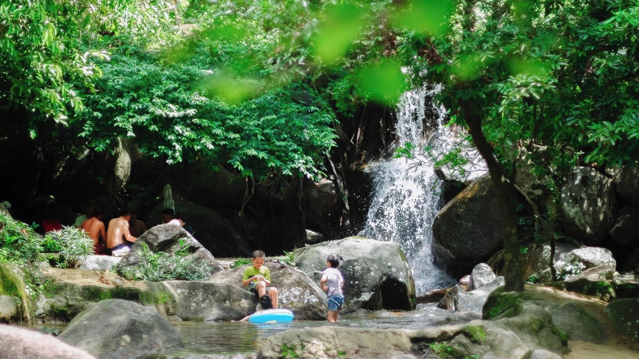 Photo of Others in Hoa Vang