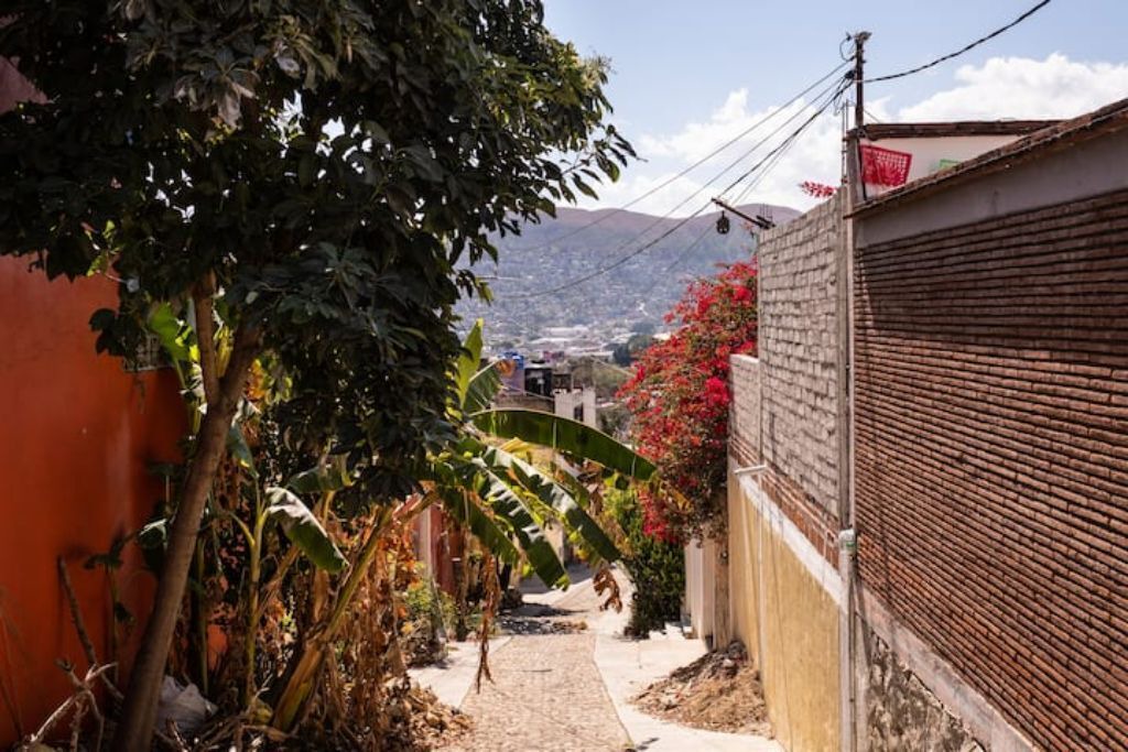 Photo of Outdoor in Santa Cruz Xoxocotlan