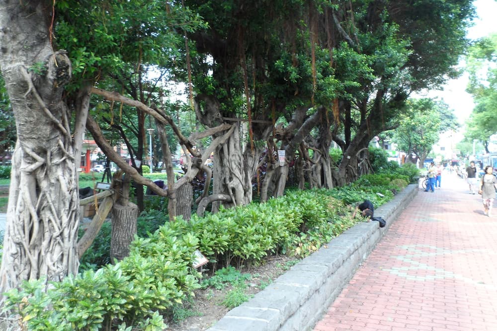Photo of Outdoor in Zhongzheng