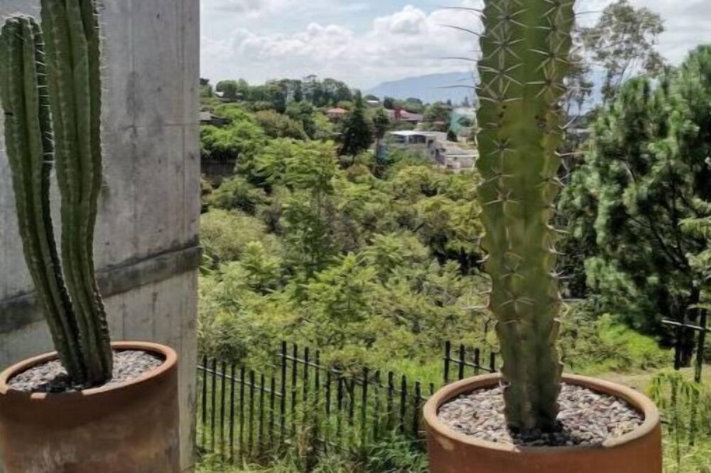 Photo of Outdoor in La Chigulera