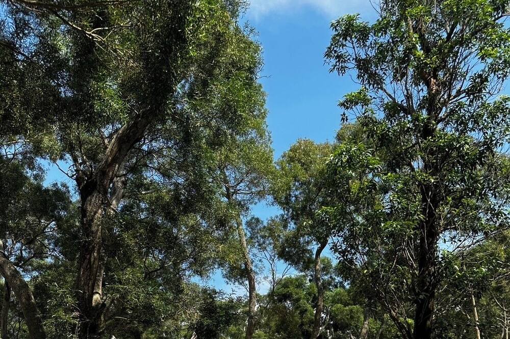 Photo of Outdoor in Dajia District