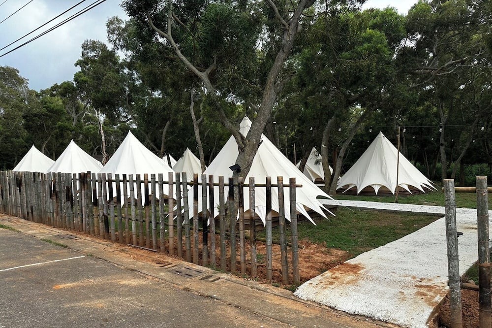 Photo of Outdoor in Dajia District