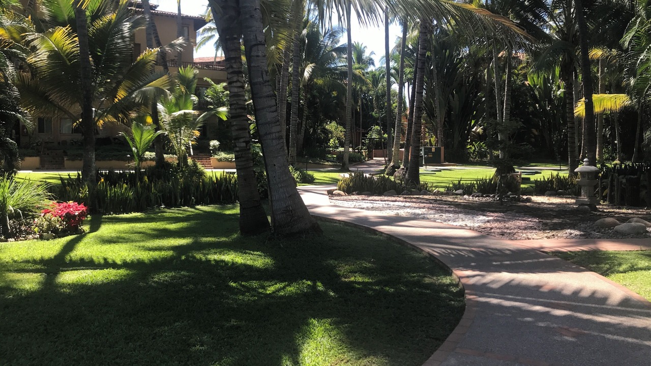 Photo of Outdoor in Diaz Ordaz