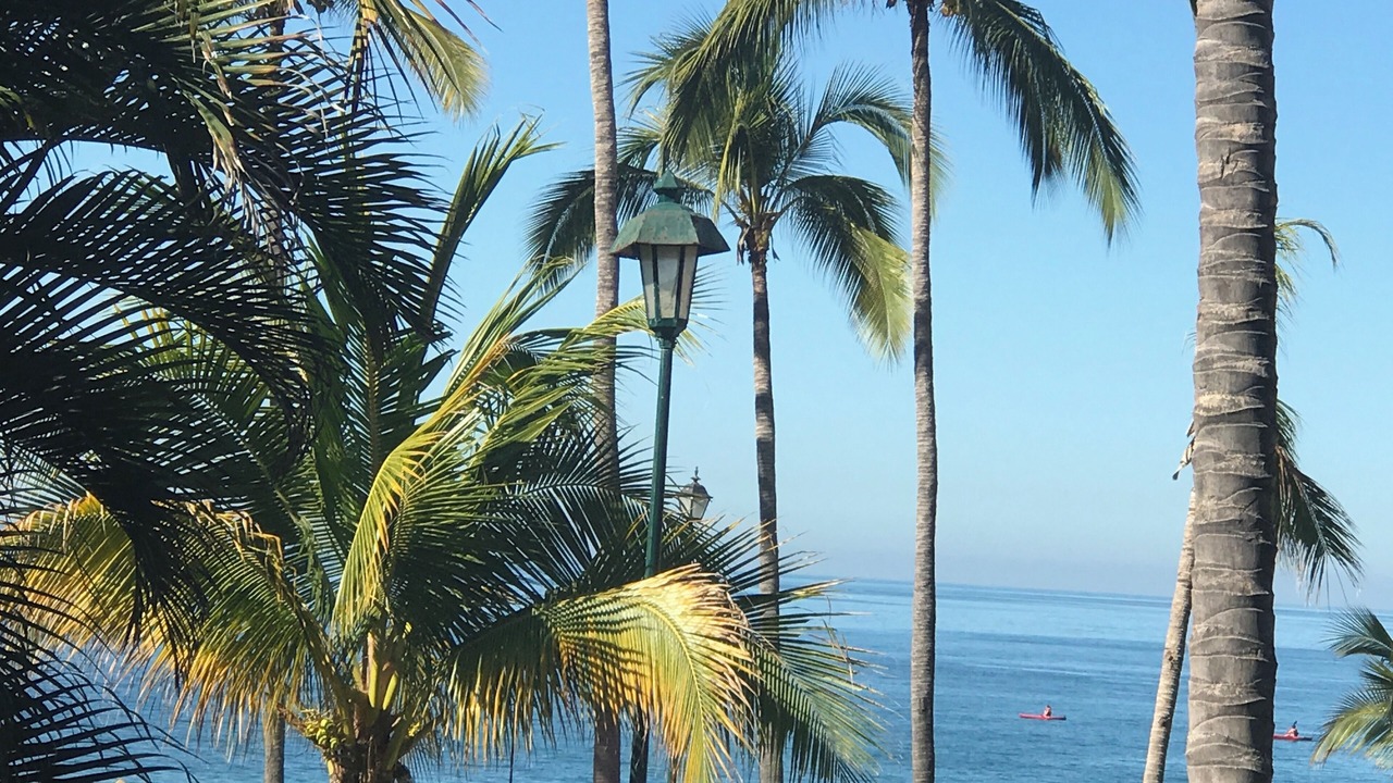 Photo of Outdoor in Diaz Ordaz