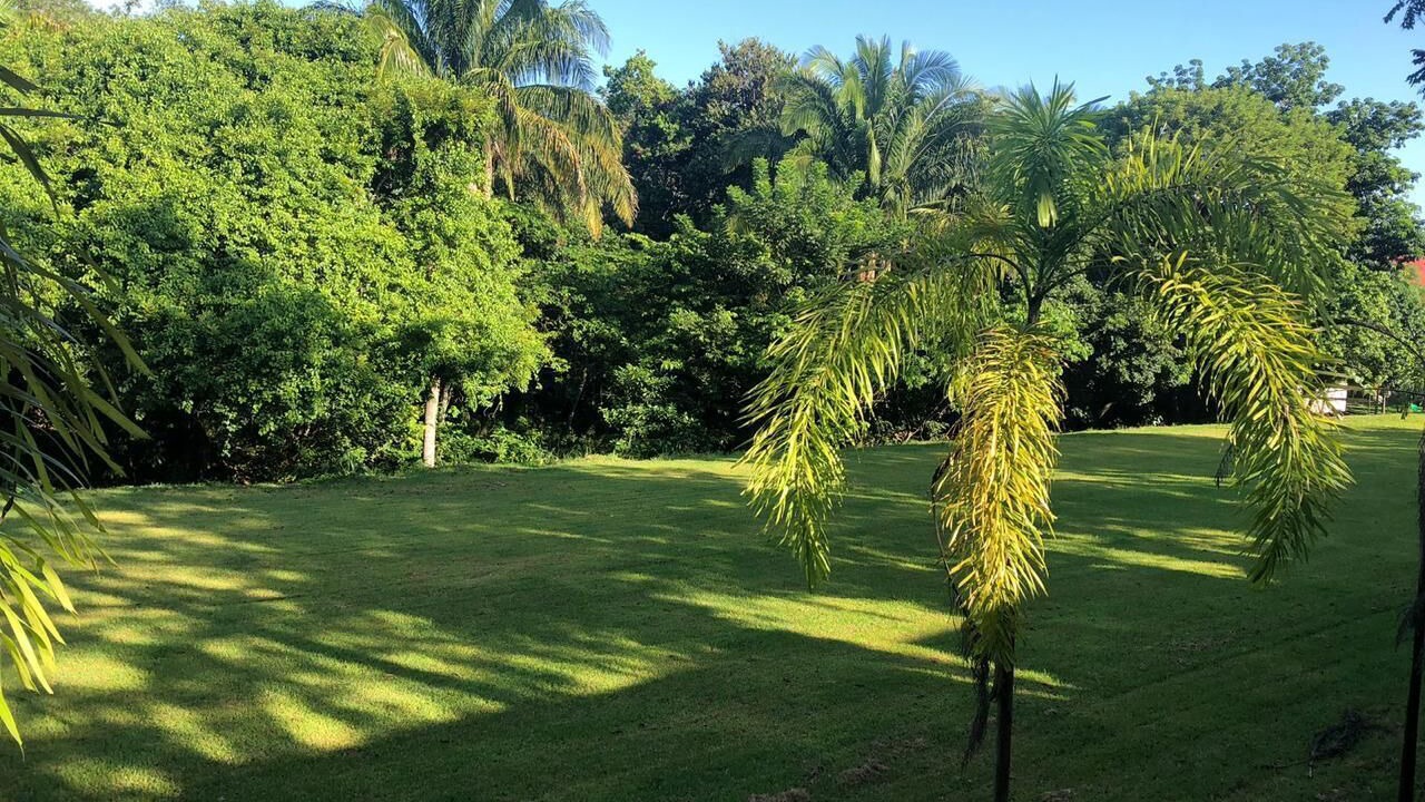 Photo of Outdoor in San Juan Bautista Tuxtepec