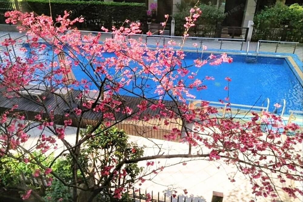 Photo of Outdoor in Neihu
