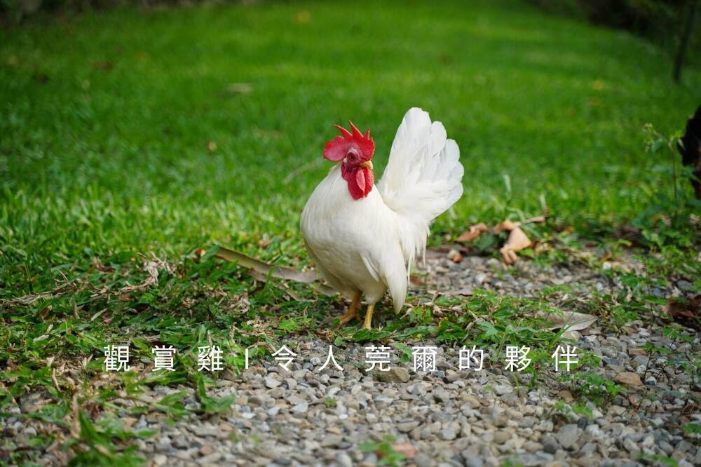 Photo of Outdoor in Guanxi