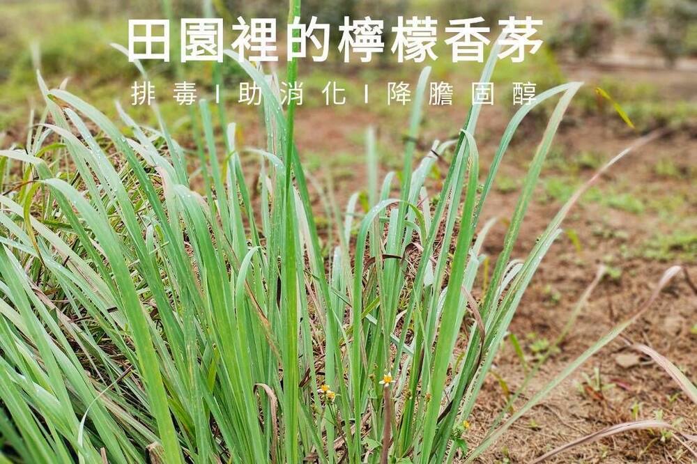 Photo of Others in Guanxi