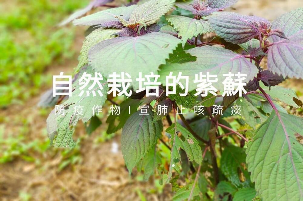Photo of Others in Guanxi