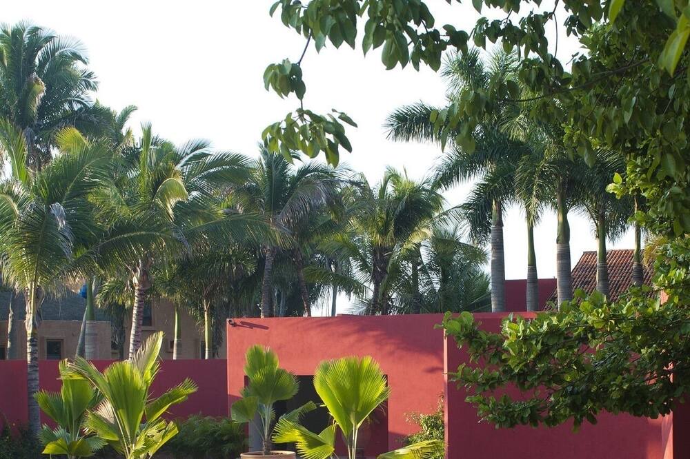 Photo of Outdoor in Punta de Mita