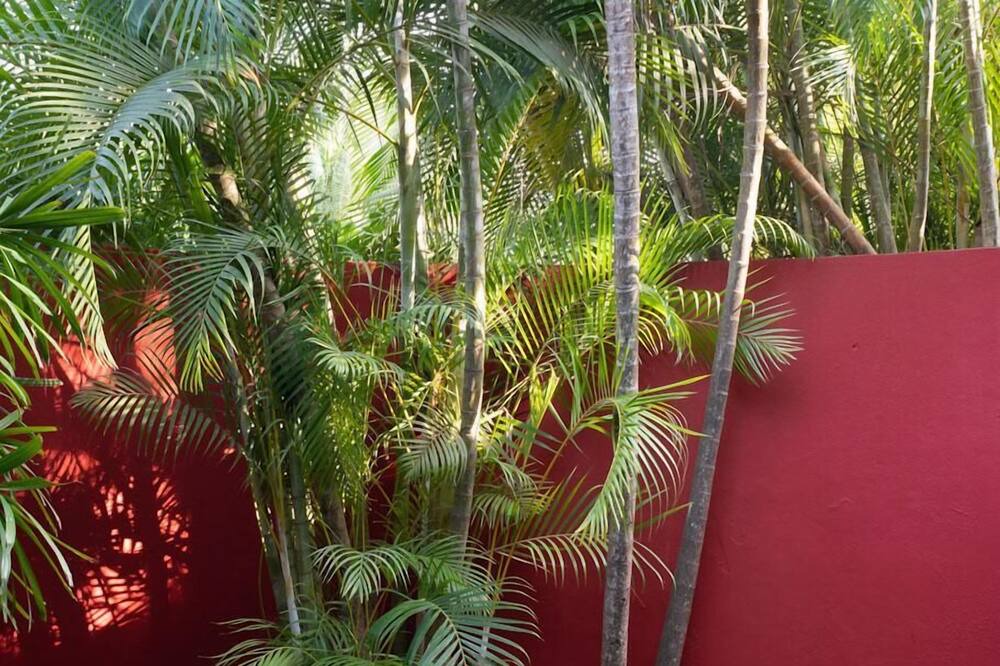 Photo of Outdoor in Punta de Mita