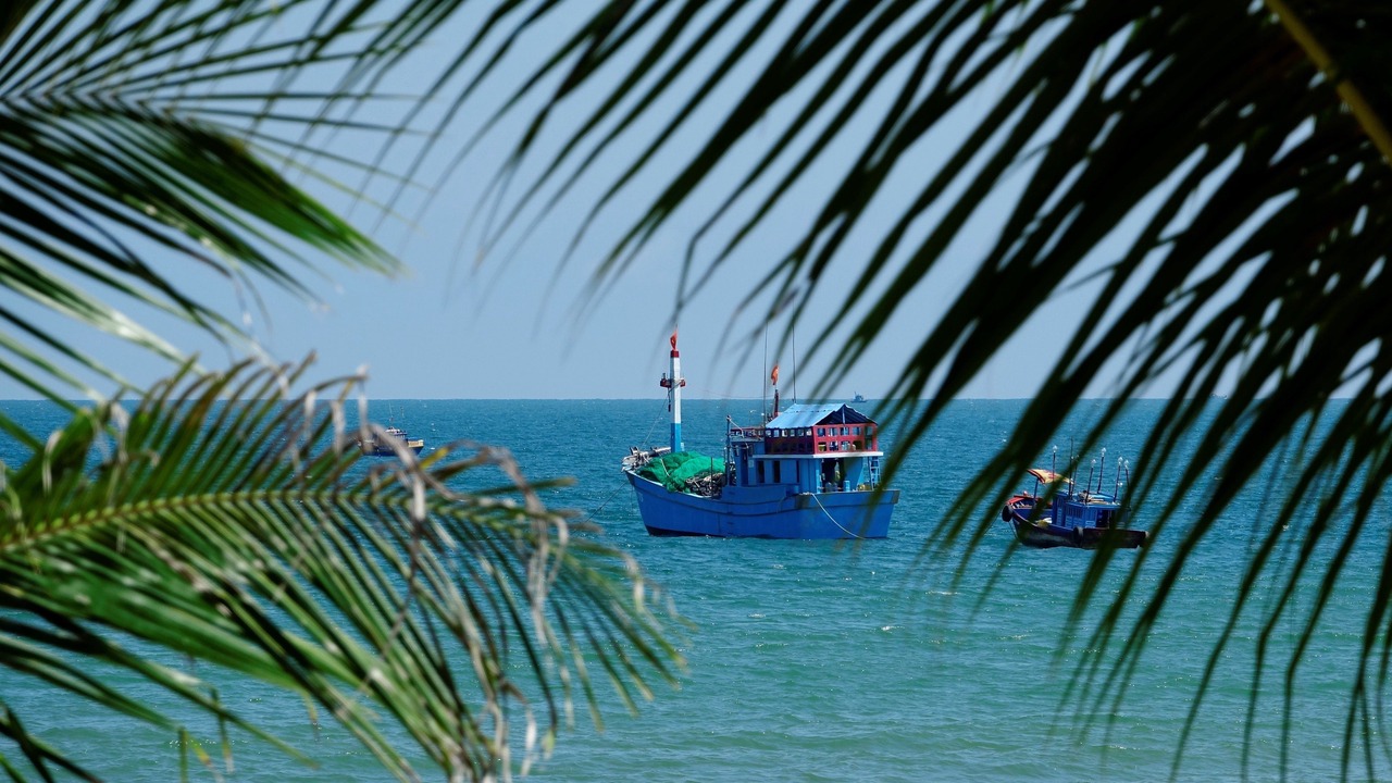 Photo of Others in Suoi Nuoc Beach
