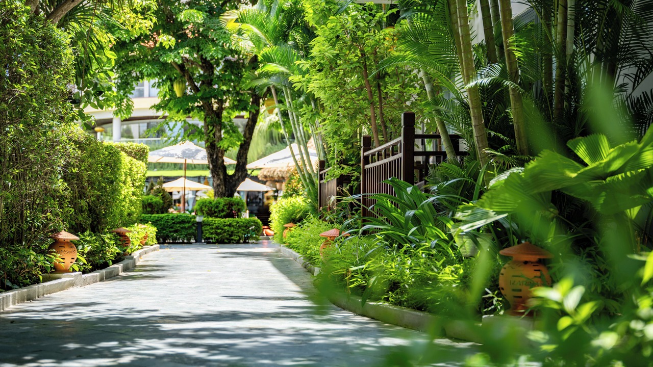 Photo of Outdoor in Cam Pho