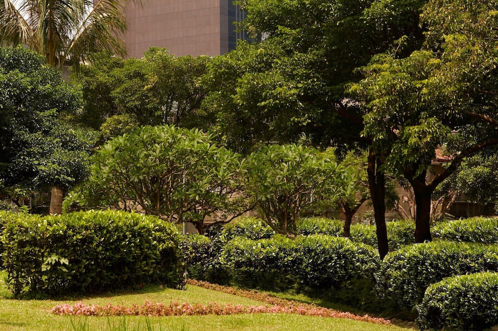 Photo of Outdoor in Zhongshan