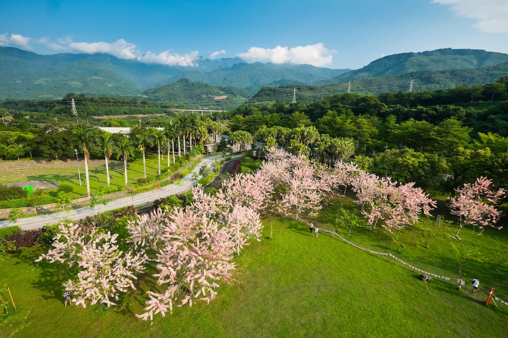 Photo of Outdoor in Luye